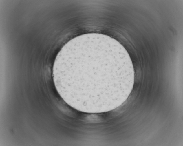 X0000111940183200909071307
