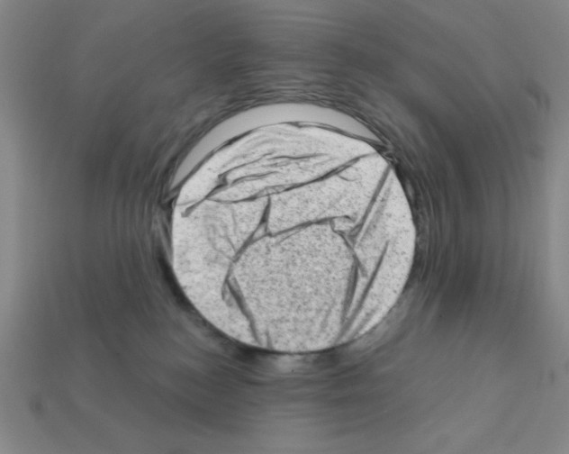 X0000111940184200909071307