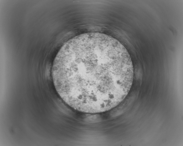 X0000111940185200909071307