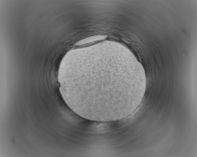 X0000111940186200909071307