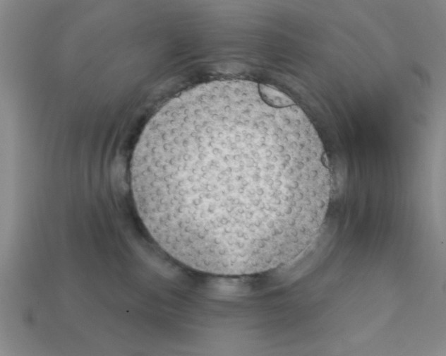 X0000111940187200909071307