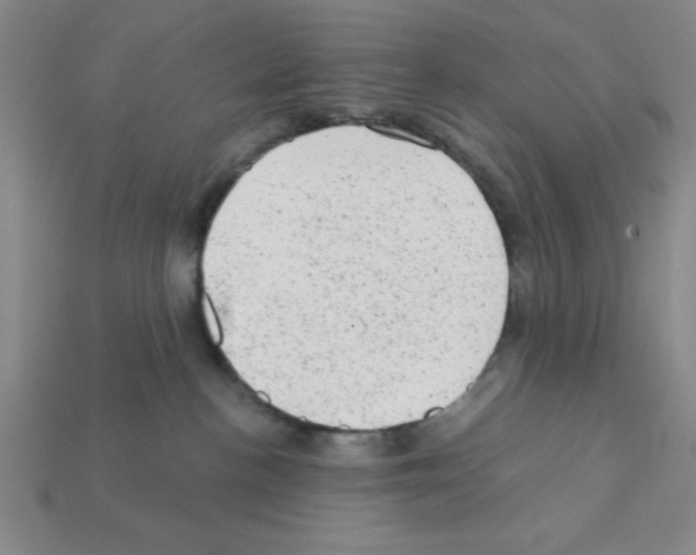 X0000111940188200909071307