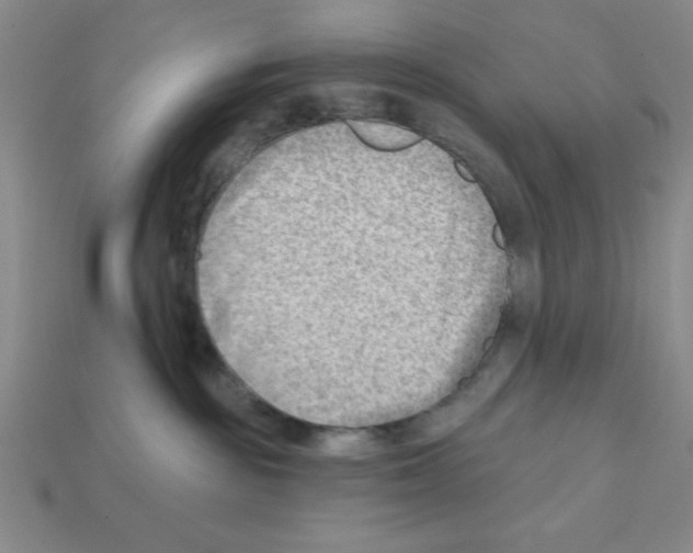 X0000111940189200909071307