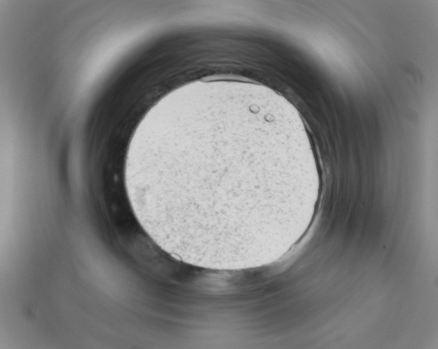 X0000111940190200909071307