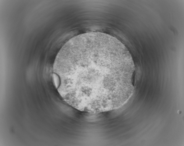 X0000111940191200909071307