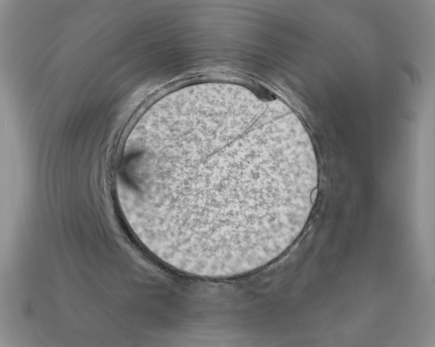 X0000111940193200909071306