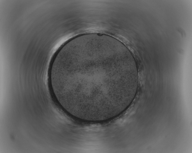 X0000111940196200909071306