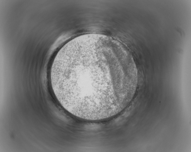 X0000111940198200909071306