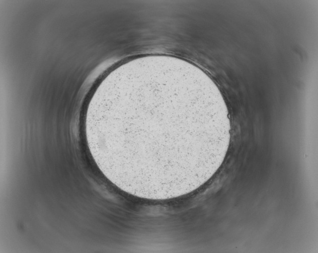 X0000111940200200909071306