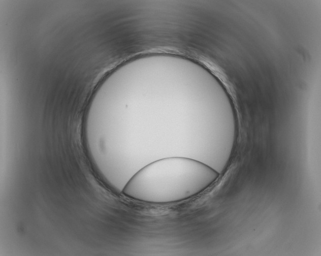 X0000111940201200909071306