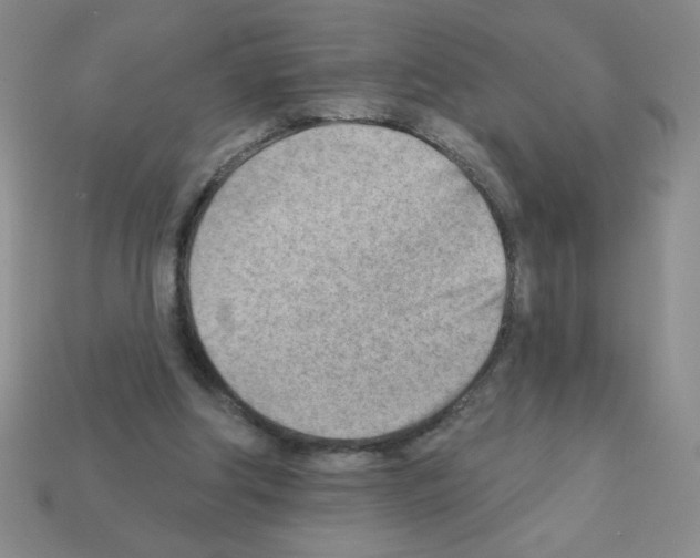 X0000111940202200909071306