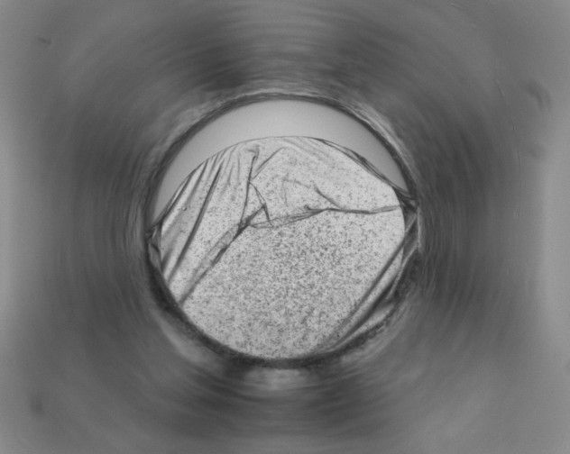 X0000111940205200909071306