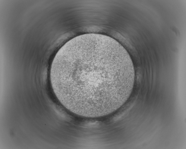 X0000111940206200909071306