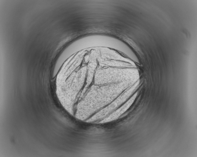 X0000111940207200909071306