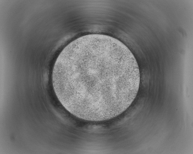 X0000111940208200909071306