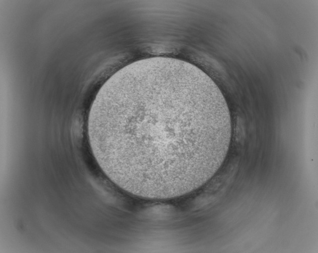 X0000111940210200909071306
