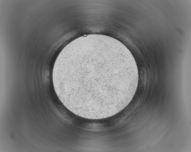 X0000111940212200909071306