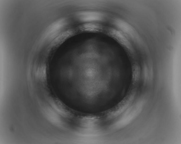 X0000111940213200909071306