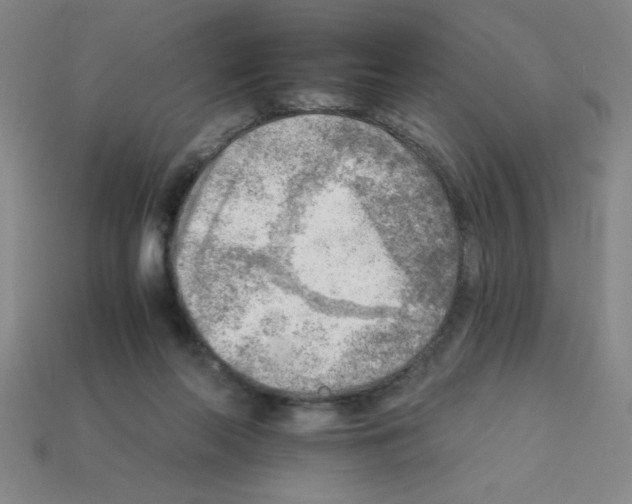 X0000111940214200909071306