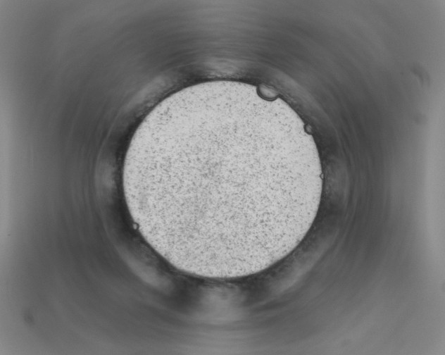 X0000111940215200909071306