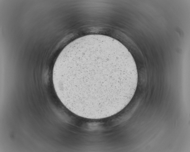 X0000111940216200909071306