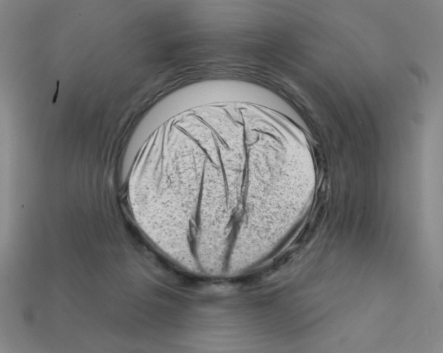 X0000111940217200909071306