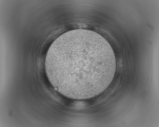 X0000111940218200909071306