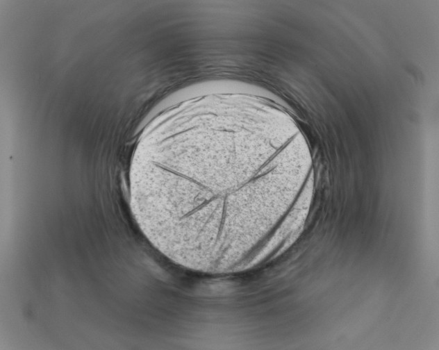 X0000111940219200909071306