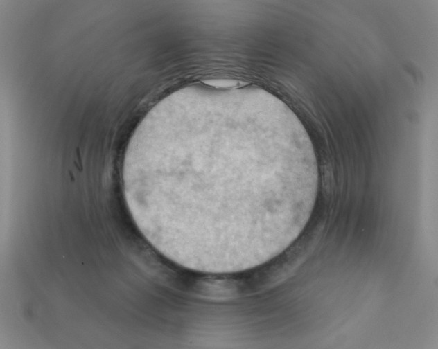X0000111940221200909071306