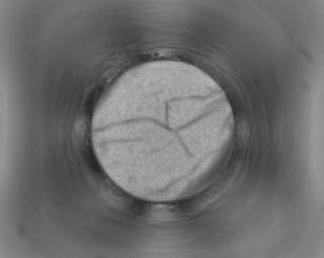 X0000111940222200909071306