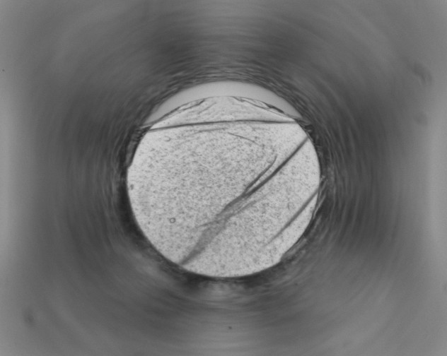 X0000111940223200909071306