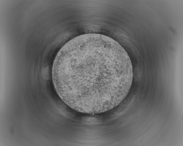 X0000111940224200909071306