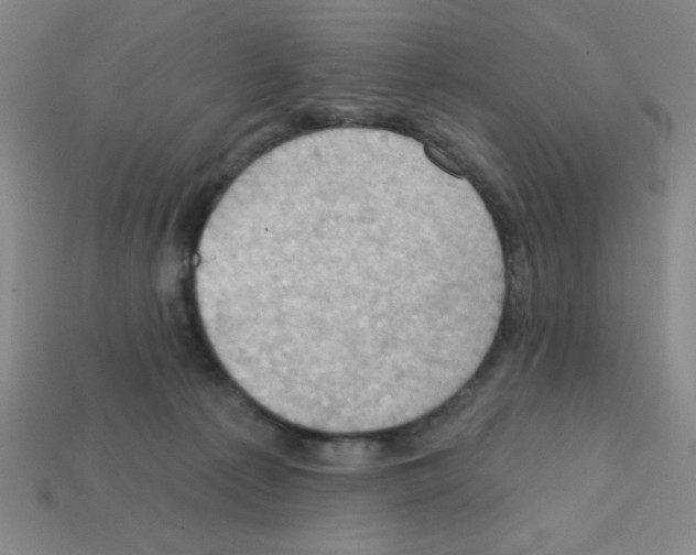X0000111940225200909071306