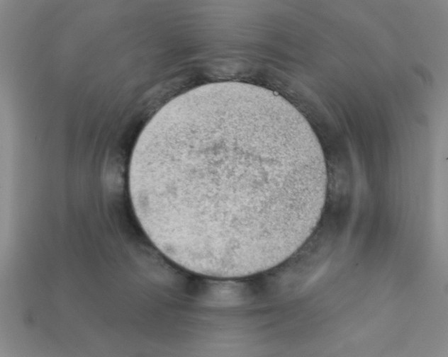 X0000111940226200909071306