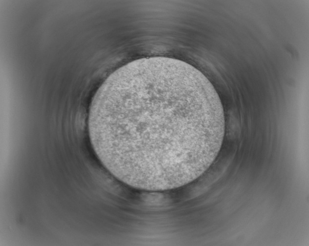 X0000111940230200909071306