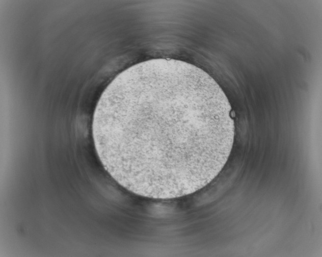 X0000111940232200909071306