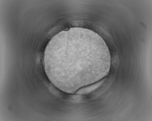 X0000111940233200909071306