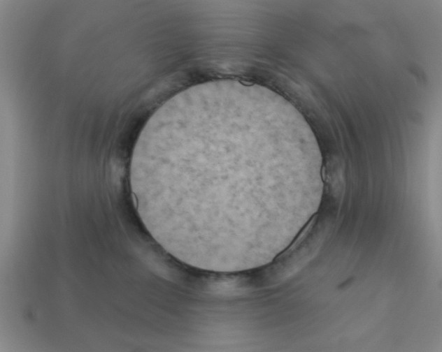 X0000111940235200909071306
