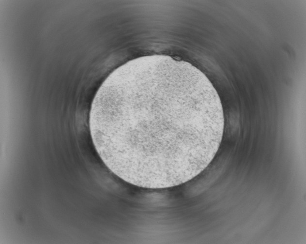 X0000111940236200909071306