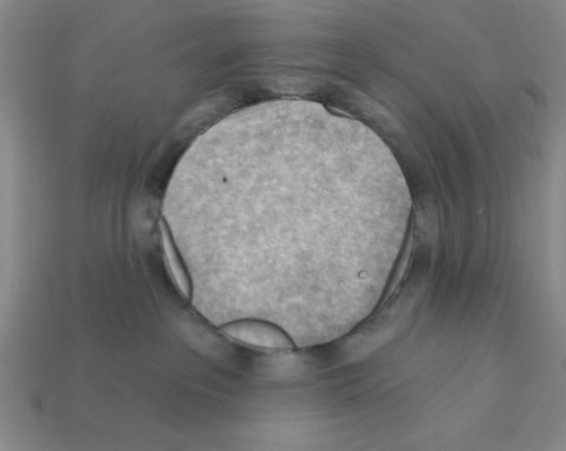 X0000111940237200909071306