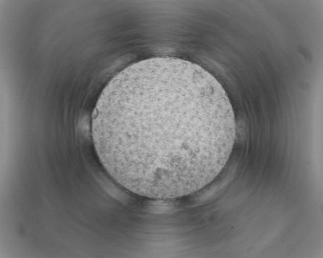 X0000111940238200909071306