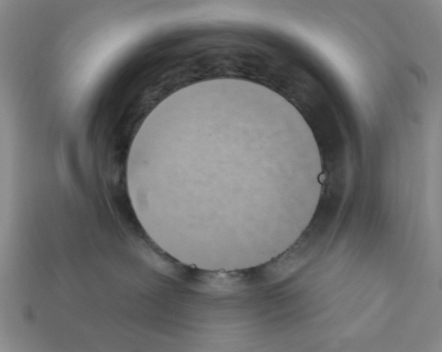 X0000111940239200909071306