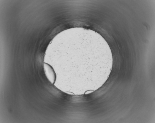 X0000111940240200909071306