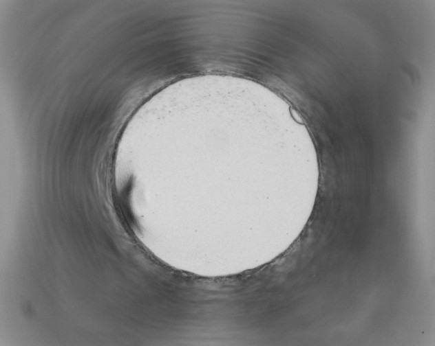 X0000111940241200909071305