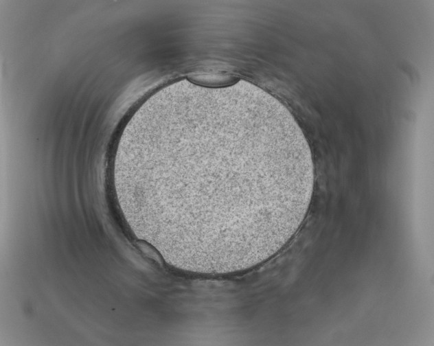 X0000111940242200909071305
