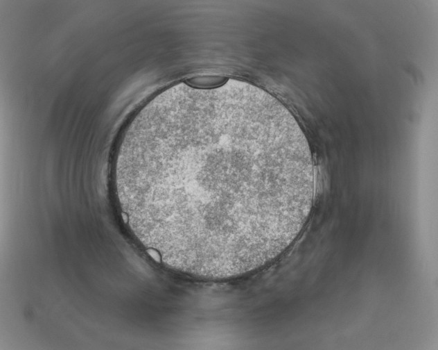 X0000111940243200909071305