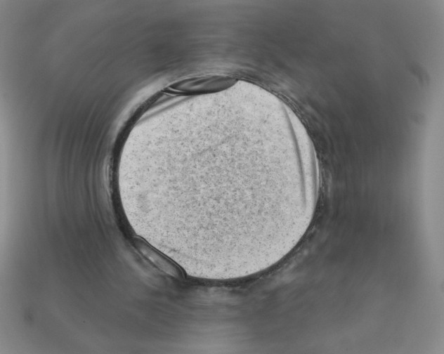 X0000111940244200909071305
