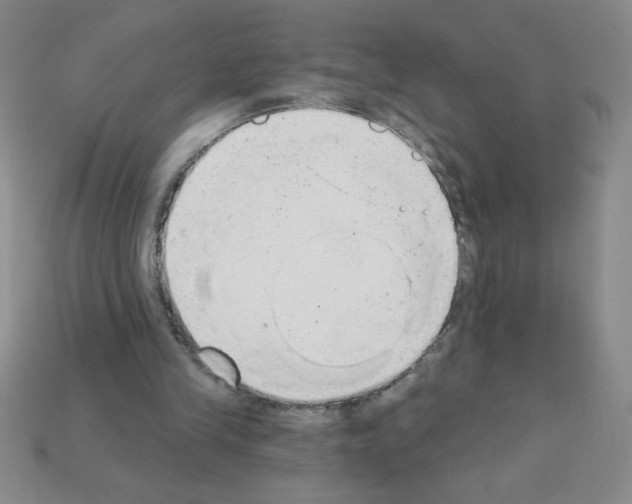 X0000111940245200909071305