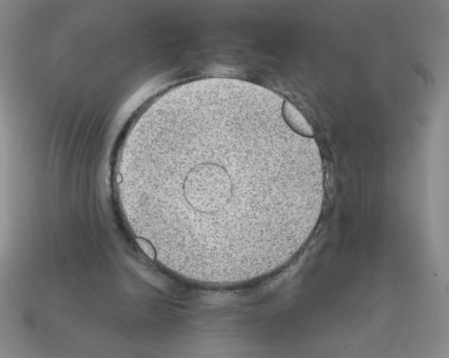 X0000111940246200909071305