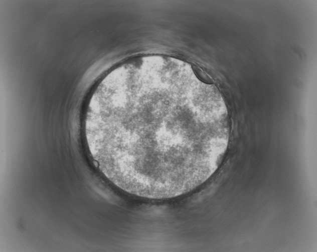 X0000111940247200909071305